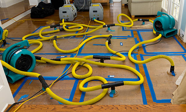 Professional Emergency Water Removal technician working in Collinsville, TX